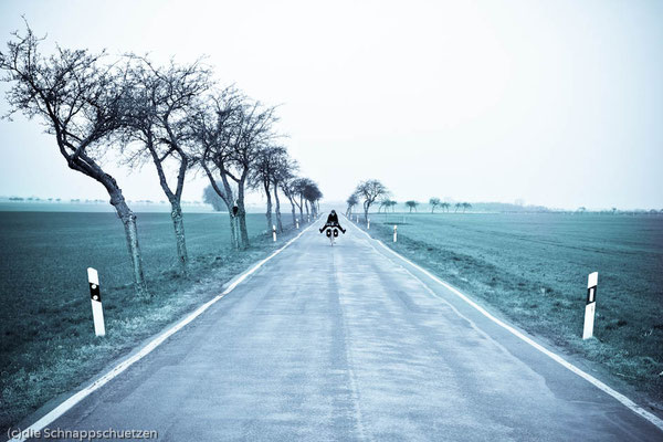 Elberadweg Meißen - Torgau | Reiseblog by (c) die Schnappschützen 