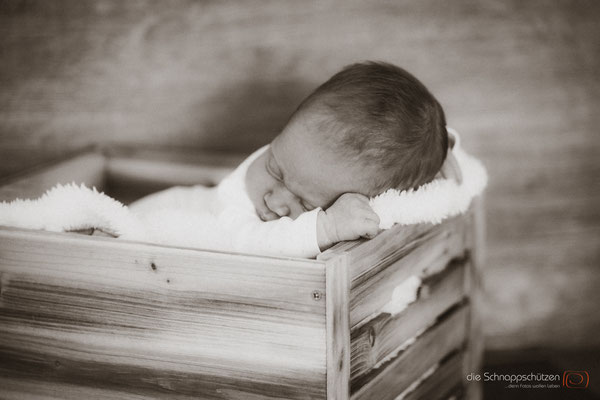 #familienfotos #kinderfotos #newborn #schnappschützen #fotografköln #fotografelsdorf