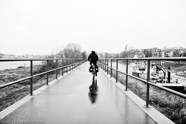 Elberadweg ab Schöna | Reiseblog by (c) die Schnappschützen - Regen und Sturm im März 2014