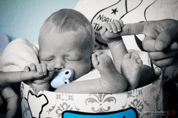 Babyshooting | die Schnappschützen