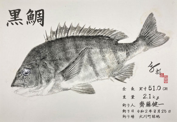 黒鯛 間接法 墨　斎藤様