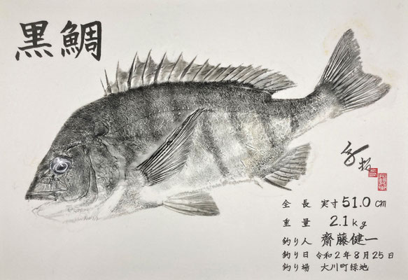 黒鯛 間接法 墨　斎藤様