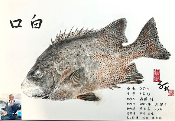 口白　西堀様