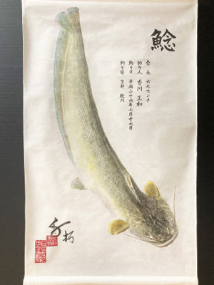 鯰