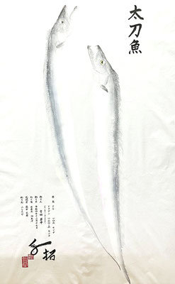 太刀魚　シマノ吉田プロ