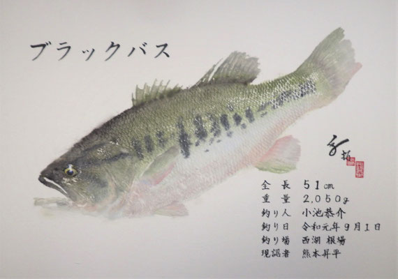 ブラックバス