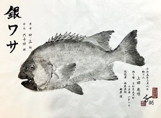 銀ワサ墨