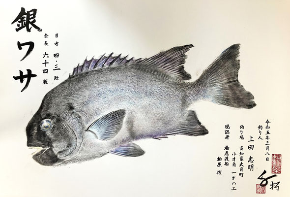 銀ワサ　上田様