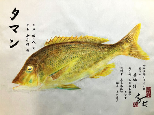 タマン　西堀様
