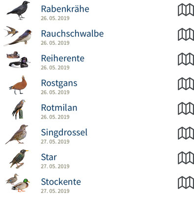 Screenshot neue "NABU-Vogelwelt-App"