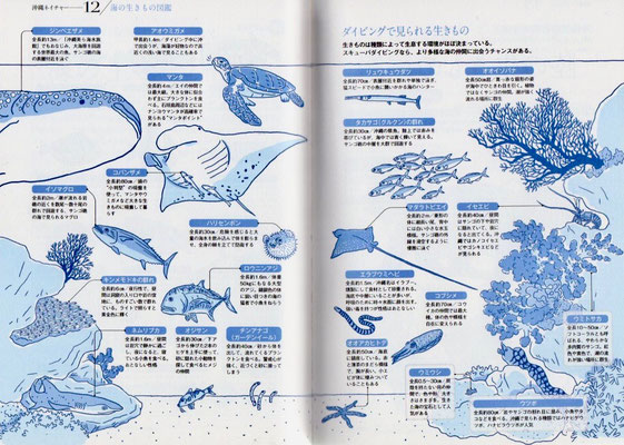 【書籍/2016】「ニッポンを解剖する！沖縄図鑑」（JTBパブリッシング）表紙（部分）・本文イラスト