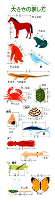 【図鑑】「生き物探検大図鑑」（小学館）図鑑の使い方説明イラスト