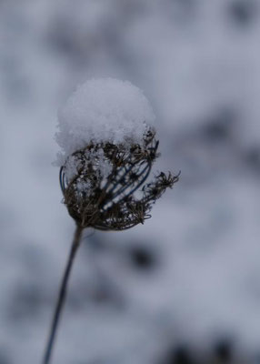 Bild: Viola Finger