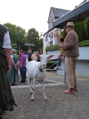 Ob unsere weiße Schönheit auch Lampenfieber hat?