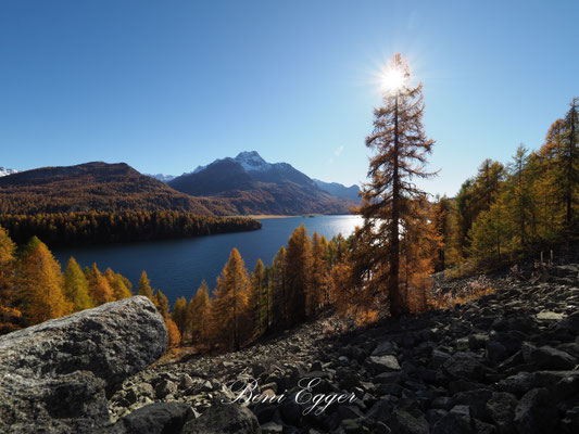 Silsersee mit Piz da la Margna