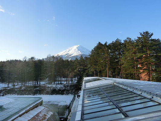 河口湖（ホテル）から見えた富士山（２日目）