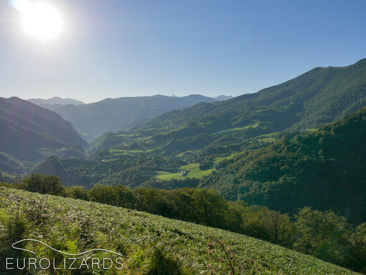 In the Western Pyrenees