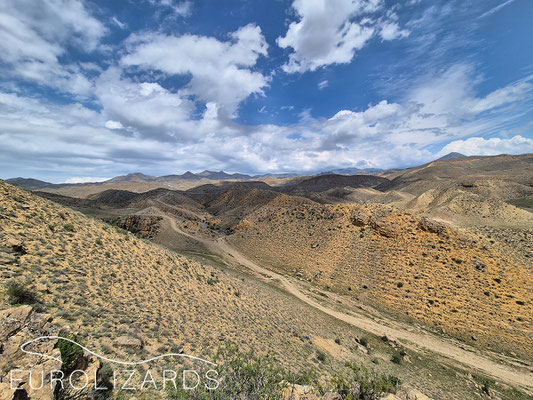 Semi-desert landscape near Wedi