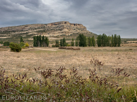 Plateau at Zaén de Arriba