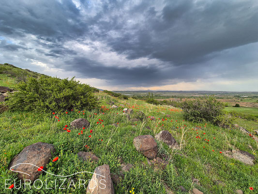 The next thunderstorm is approaching