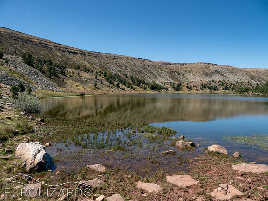 Laguna Larga