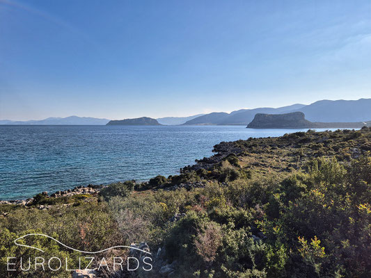 Monemvasia coast