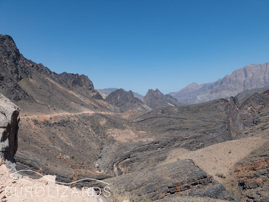 "Scenic Route"
