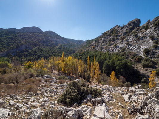 The surroundings of Nacimiento del Río Guadalquivir