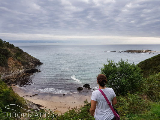 A farewell shot at the coast near Bilbao