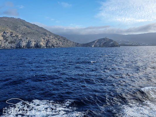 Approaching Andros