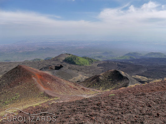 At Mount Etna