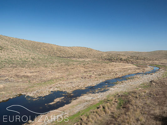 Steppe river