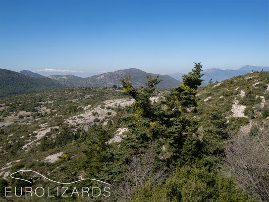 Southern Parnon highlands