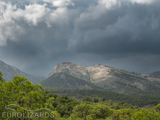A thunderstorm in Sierra Espuña