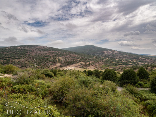 Parque Natural Sierra de Cebollera