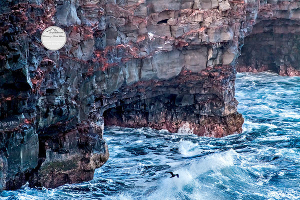 Bild: "Wellenflug", Volcano Nationalpark, Hawaii