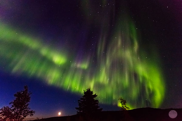 Bild: aurora borealis over Gobblers Knob on the Dalton Highway, Alaska, USA at the end of August 2016, "green curtain"; www.2u-pictureworld.de