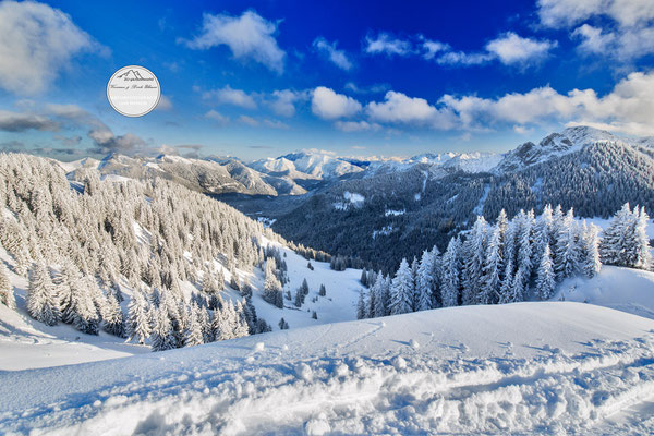 bayrischer Alpenblick