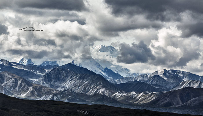 Bild: "Versteckspiel", Mount Mc Kinley, Denali NP, Alaska