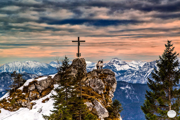 Bild: ski area Brauneck, Lenggries, Bavaria Germany, "the ibex of Lenggries"; www.2u-pictureworld.de