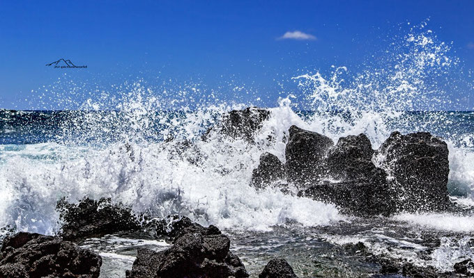 Bild: pazifischer Springbrunnen, Oahu Ostküste