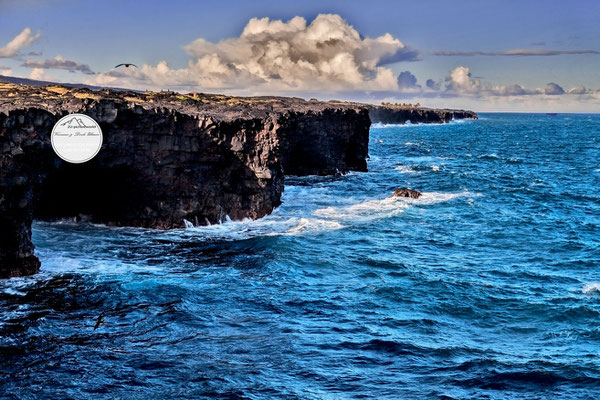 Bild: "Lavaküste", Volcano Nationalpark Hawaii