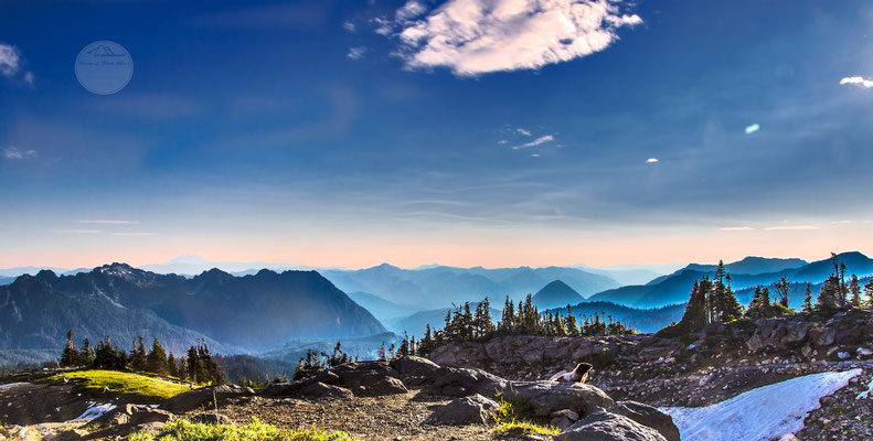 Bild: Murmeltier im Abendlicht im Mount Rainier Nationalpark, "im Rampenlicht"; www.2u-pictureworld.de