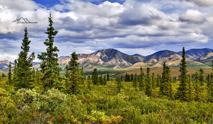 Bild: "colourful Alaska Range", Denali NP 