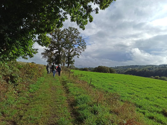 La remontée via le GR 654 (Chemin de Saint-Jacques-de-Compostelle).