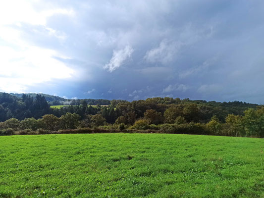 Les bords de Vienne sur le circuit entre Vienne et Tard.