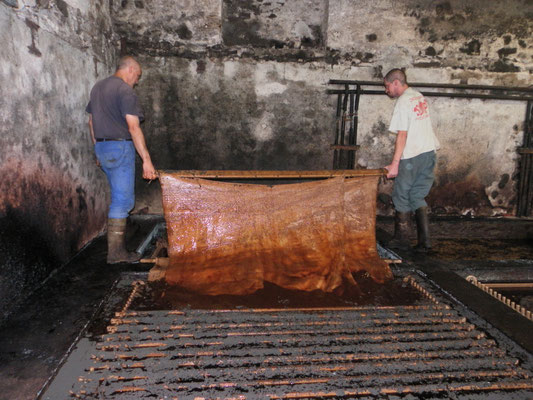 Dans la basserie, les peaux sont régulièrement changées de bain. Le tan, de plus en plus présent, comble les interstices des fibres de la peau, la transformant progressivement en une matière imputrescible.