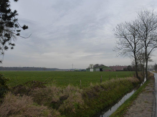 Blick zum benachbarten Bauernhof Ihrer Gastgeber