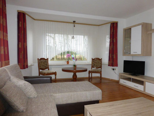 Wohnzimmer mit Sofa und SAT-TV