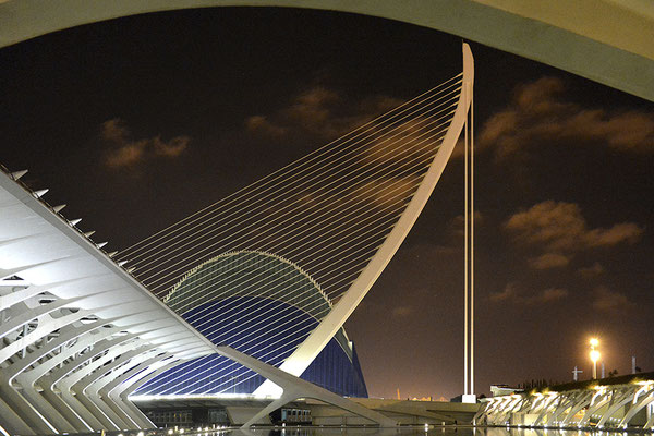 Musée des sciences. Valencia Espagne